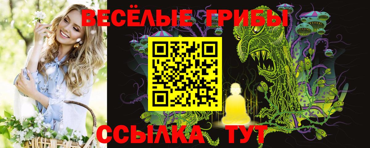 Галлюциногенные грибы мухоморы Ликино-Дулёво