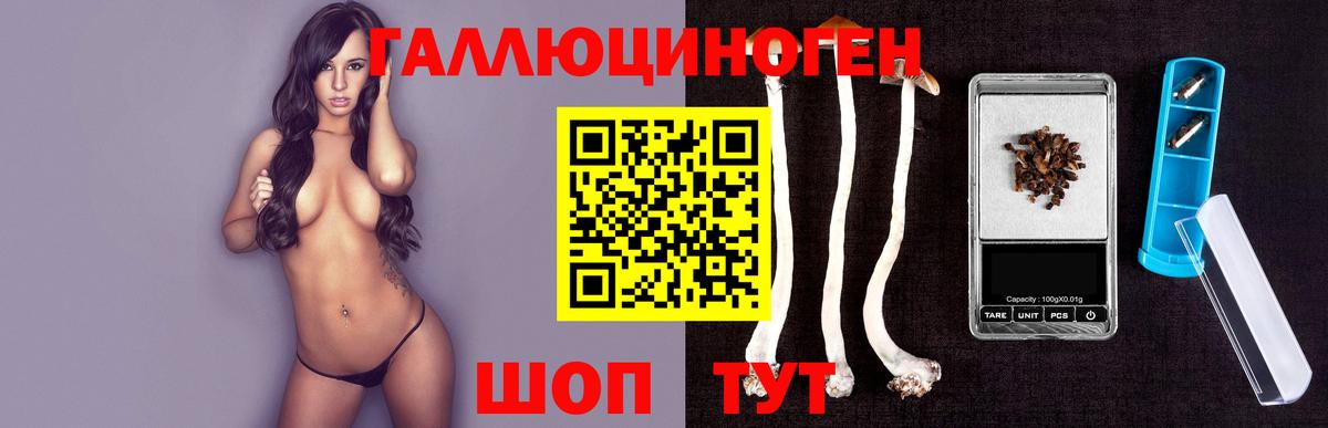 Ликино-Дулёво  Псилоцибиновые грибы Psilocybe  Вход с VPN 